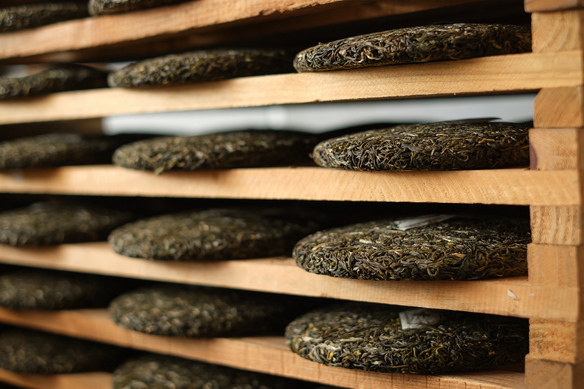 Spring 2024 Fa Zhan He Raw Pu-erh