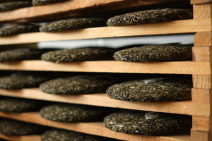 Spring 2024 Fa Zhan He Raw Pu-erh