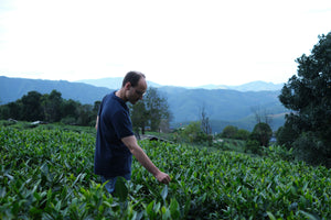Summer 2024 Meng Ma Yunnan Black 1 kg loose