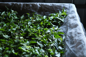 Summer 2024 Jingmai Sun-dried Black 1 kg loose