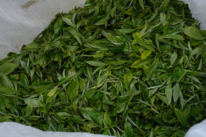 Spring 2024 Fa Zhan He Raw Pu-erh 7*357g cakes
